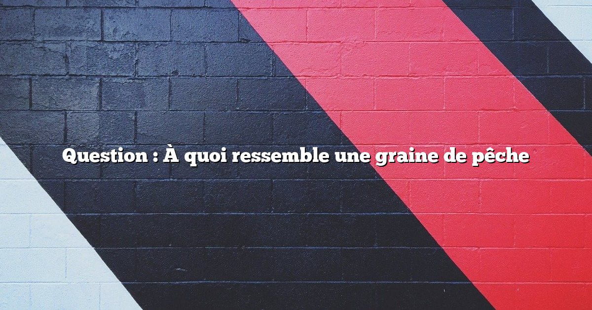 Question : À quoi ressemble une graine de pêche